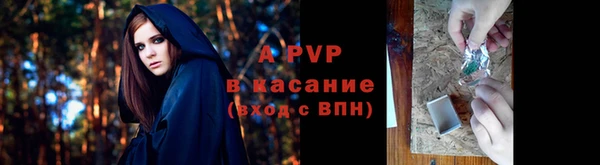 марки lsd Дмитриев