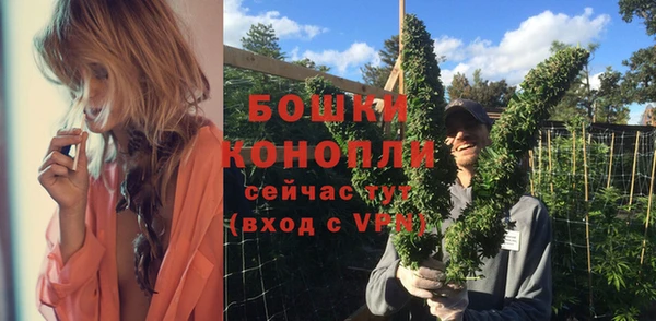 винт Дмитров