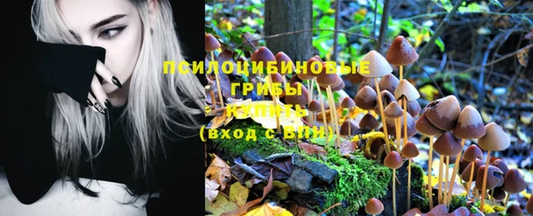 винт Дмитров