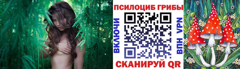 Галлюциногенные грибы мицелий  Купить  Кунгур 